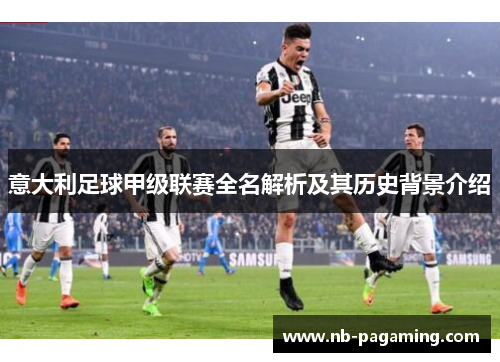 意大利足球甲级联赛全名解析及其历史背景介绍