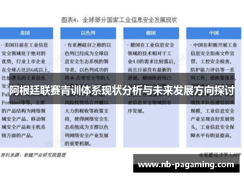 阿根廷联赛青训体系现状分析与未来发展方向探讨